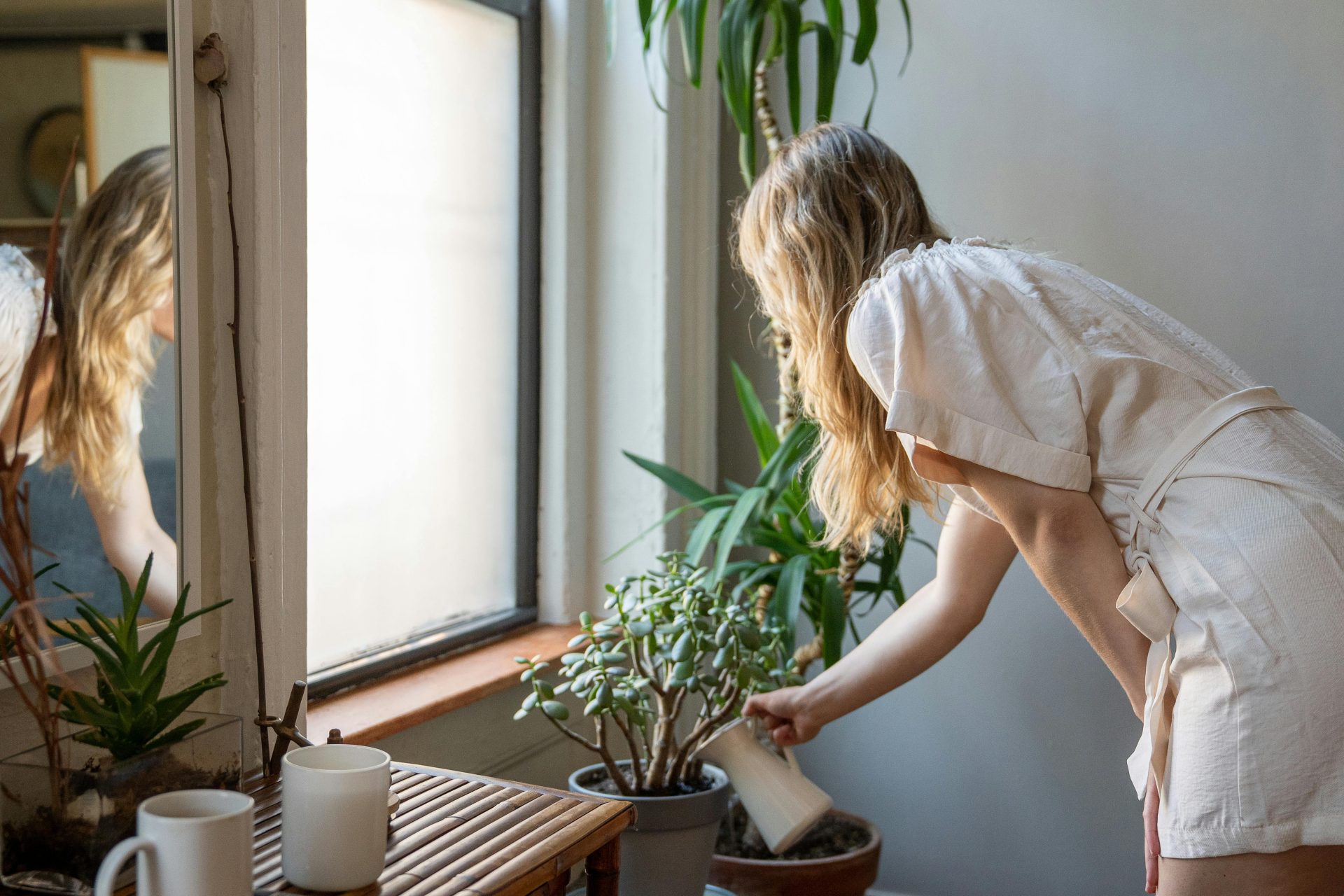 A woman waters potted plants by a sunlit window in a cozy home interior.