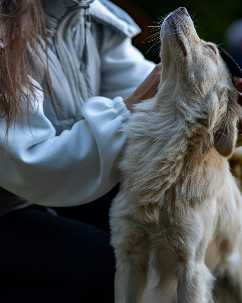 a woman is petting a small white dog